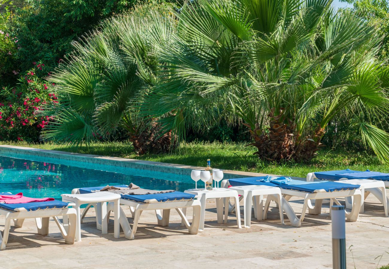 Villa à Lorgues - Domaine du Bonheur