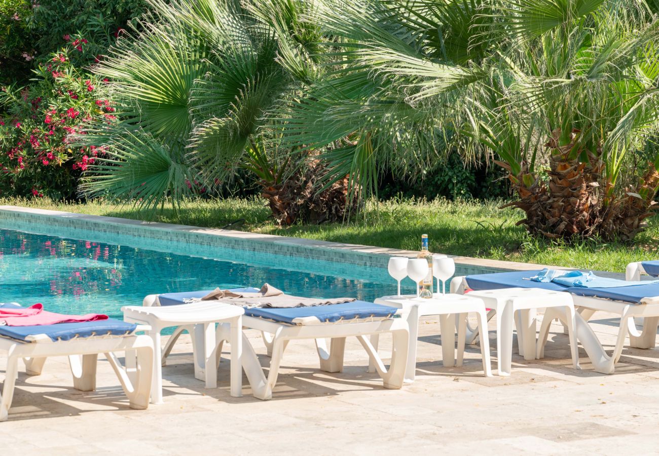 Villa à Lorgues - Domaine du Bonheur