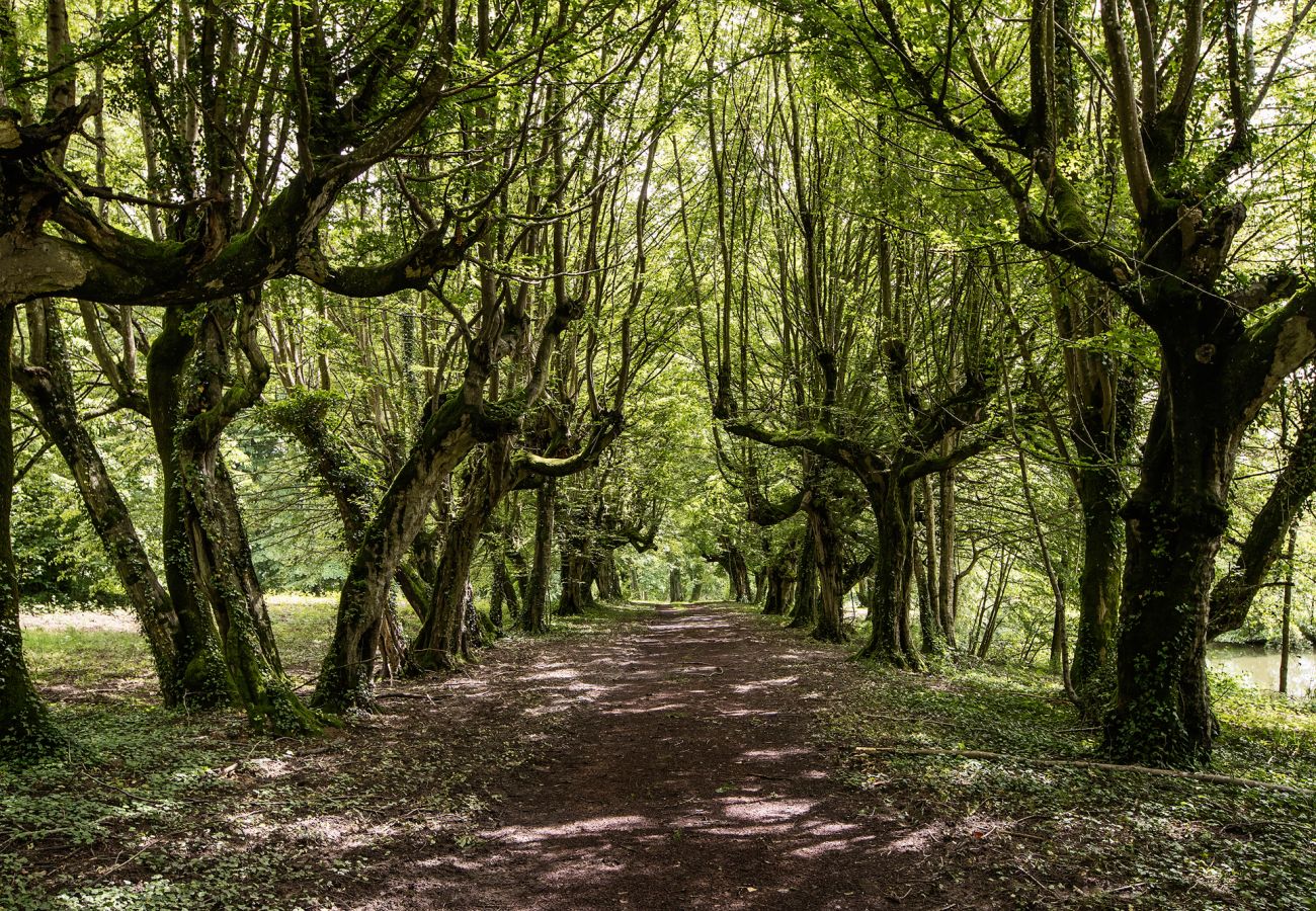 Villa à Vescours - Château de Montsymond