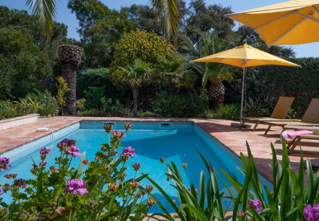 83TEIL, maison de vacances avec piscine, jardin fleuri, 850m de la plage à Sainte-Maxime, Côte d'Azur