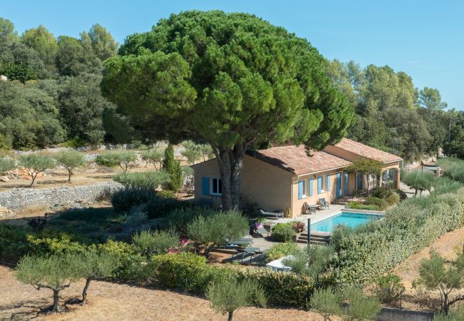 Villa à Carcès - Oliviera Villa à Carcès - Oliviera