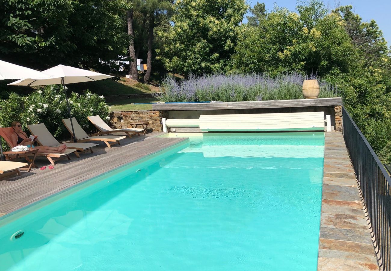 Découvrez la luxueuse piscine chauffée de La Bastide 48BAST, ornée de transats et de parasols sur une terrasse en bois
