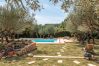 Villa à Lorgues - Martine