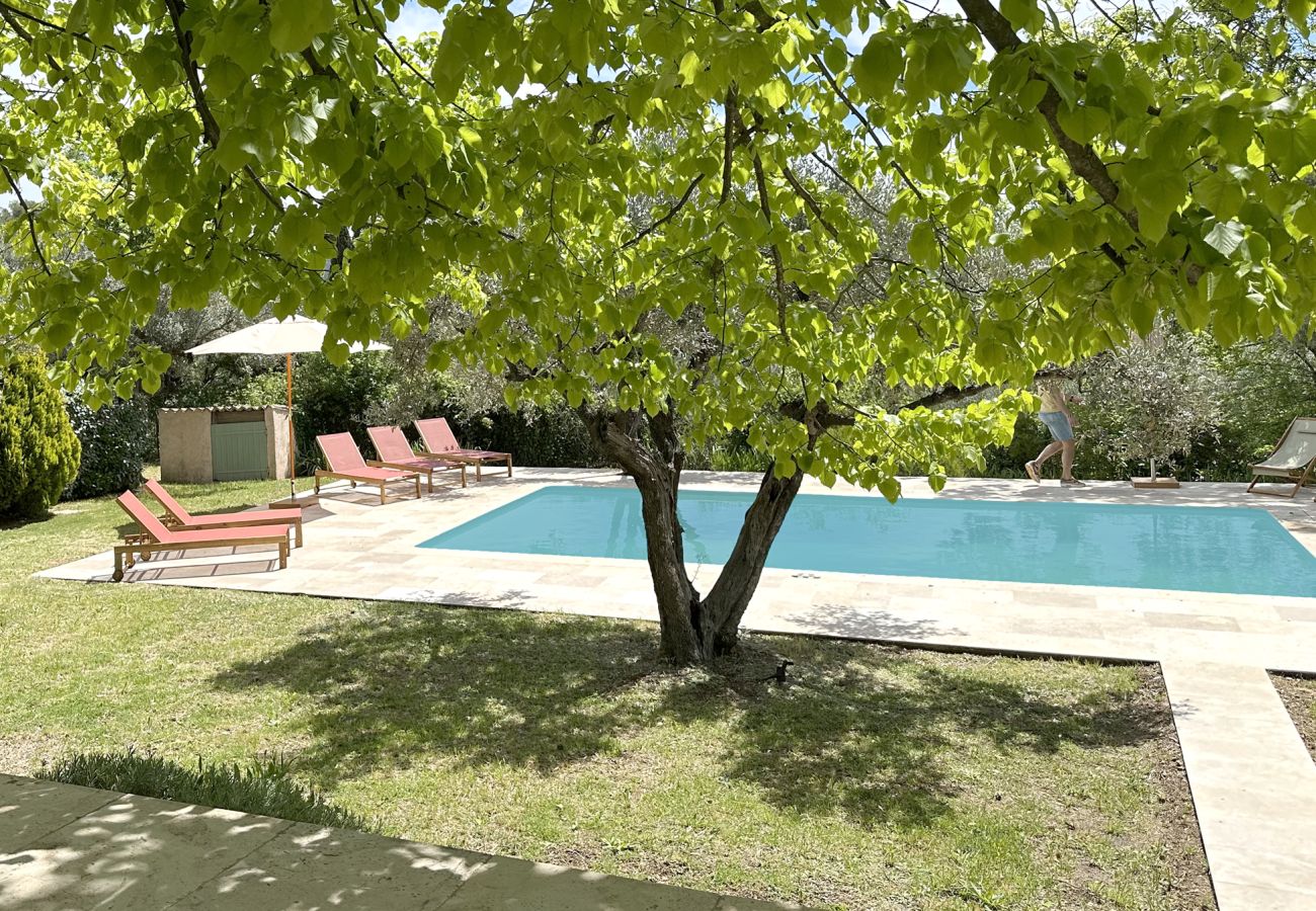 Villa à Bargemon - Oliviers de Bargemon