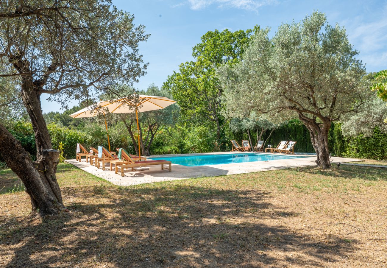 Villa à Bargemon - Oliviers de Bargemon