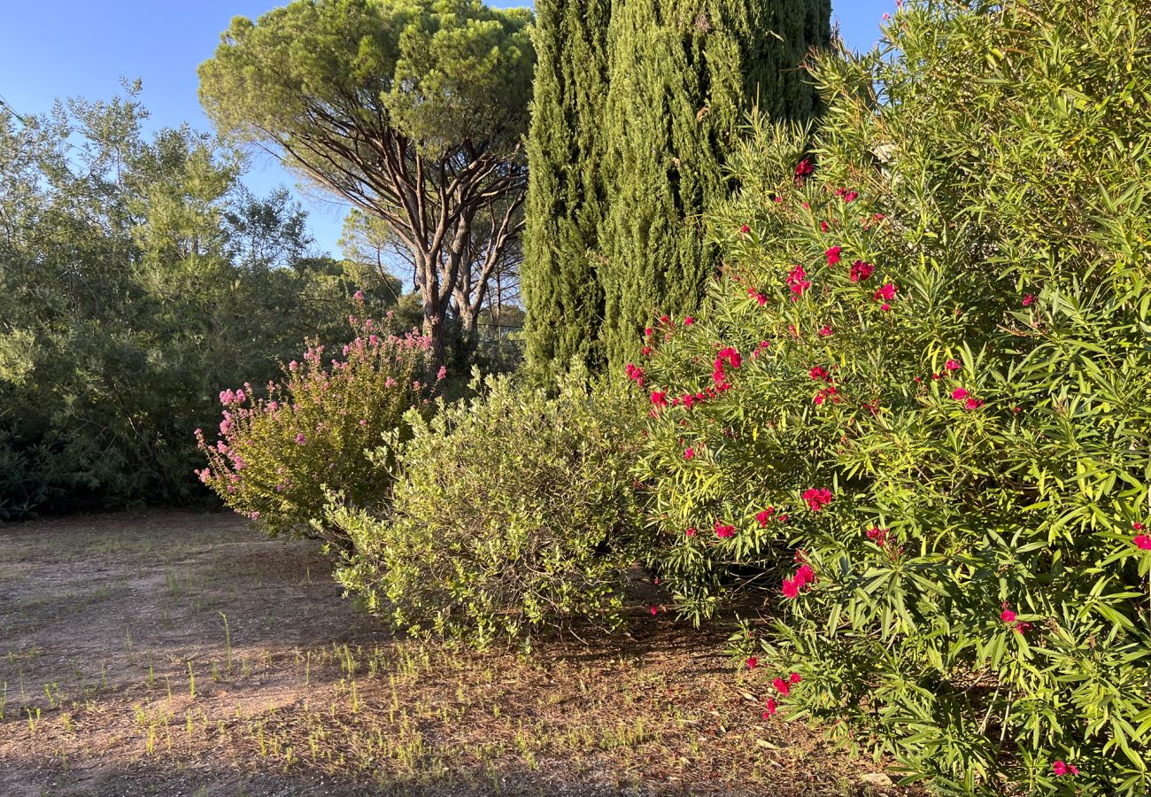 Villa à Vidauban - Villa Parete