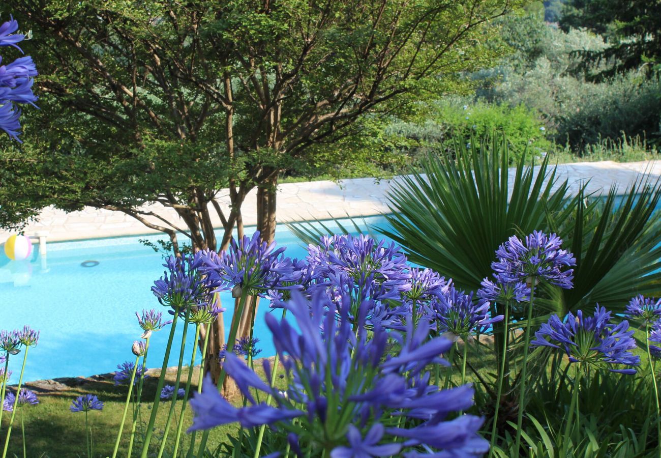 Villa in Grasse - 06VINTA - Vintage