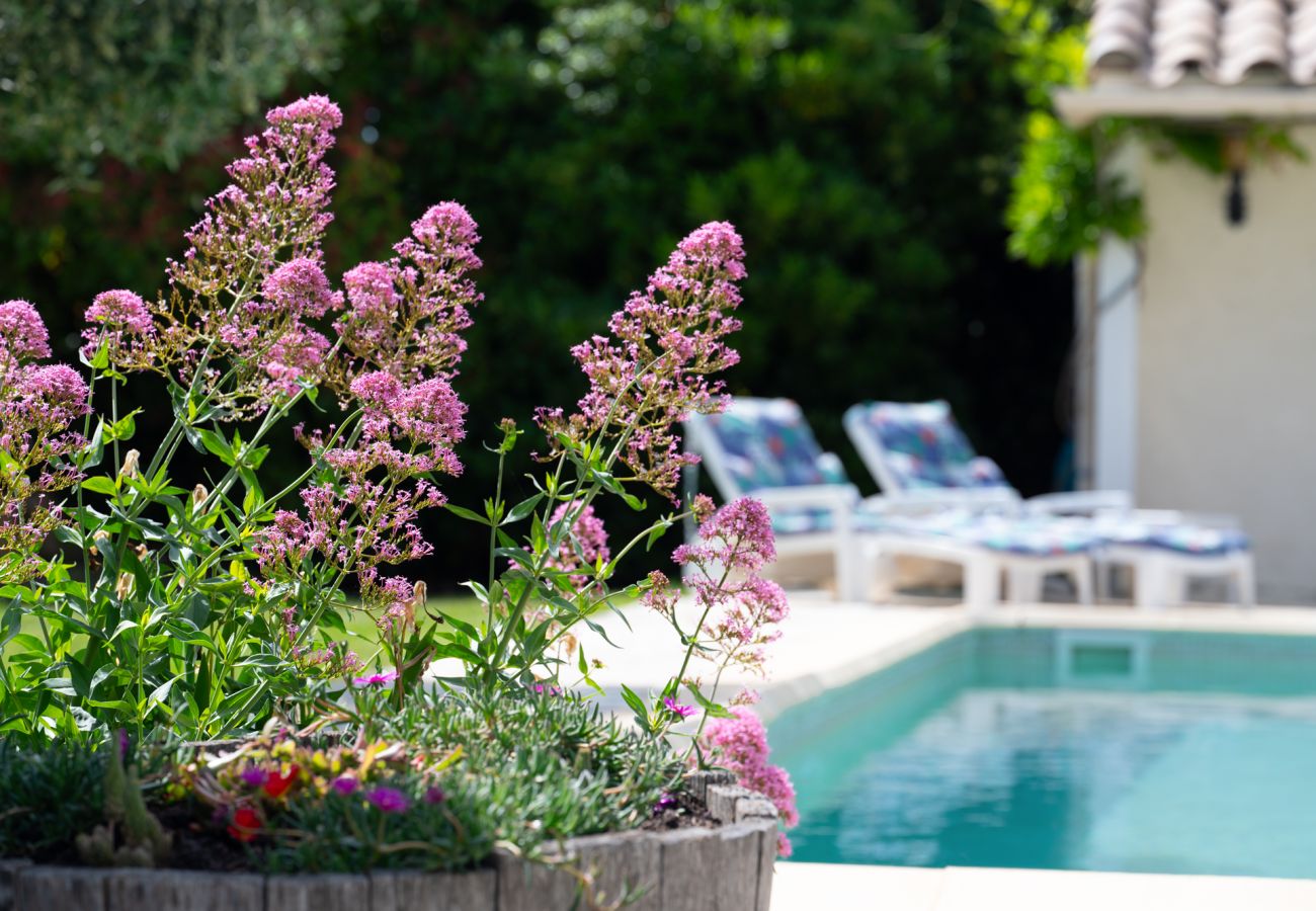Villa in Cesseras - Le Bariole
