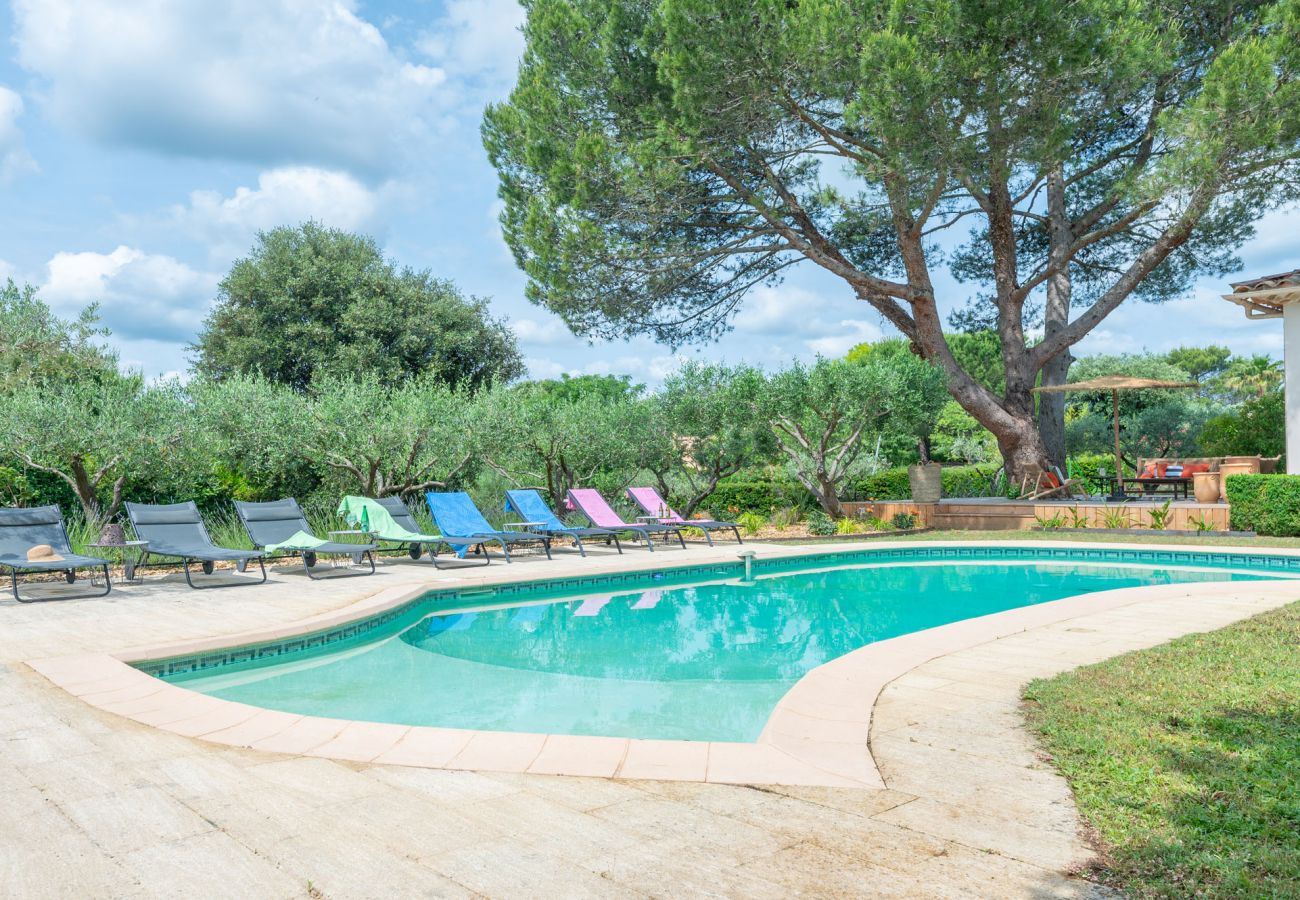 Villa in Castillon-du-Gard - Berrette