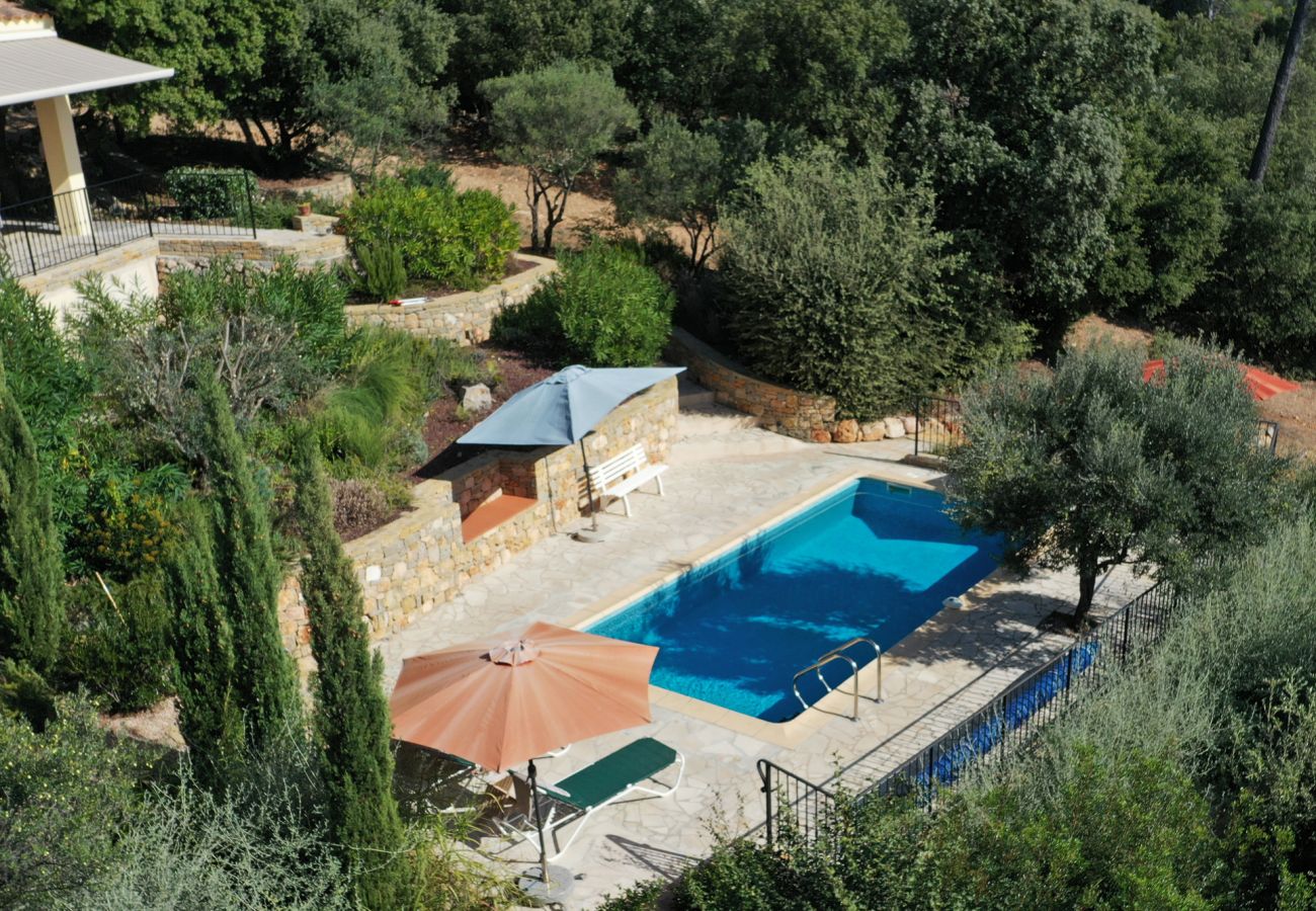 Privézwembad van Villa Sygu met parasols, ligbedden en groene omgeving in de Provence