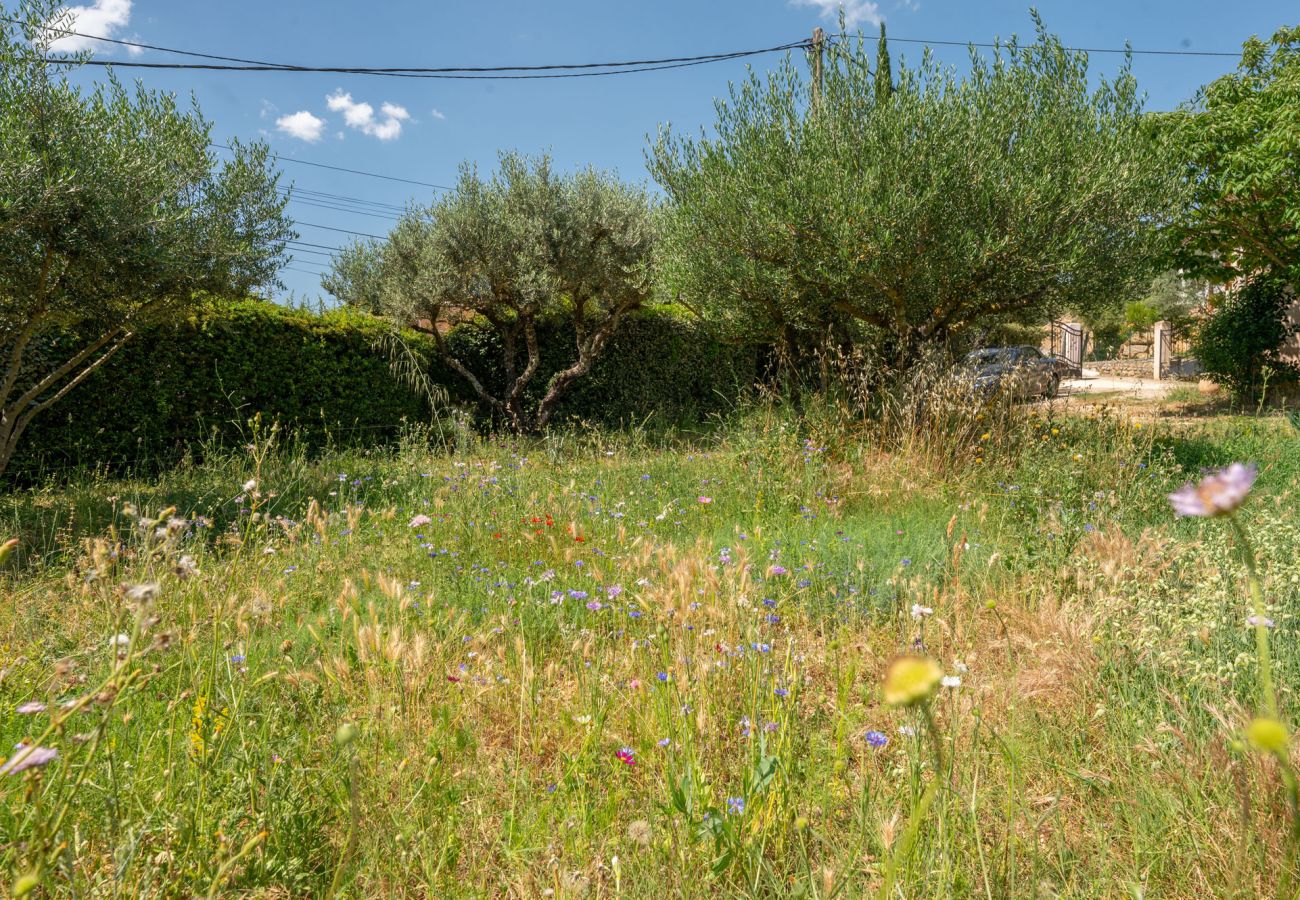 Villa in Lorgues - Villa Martine