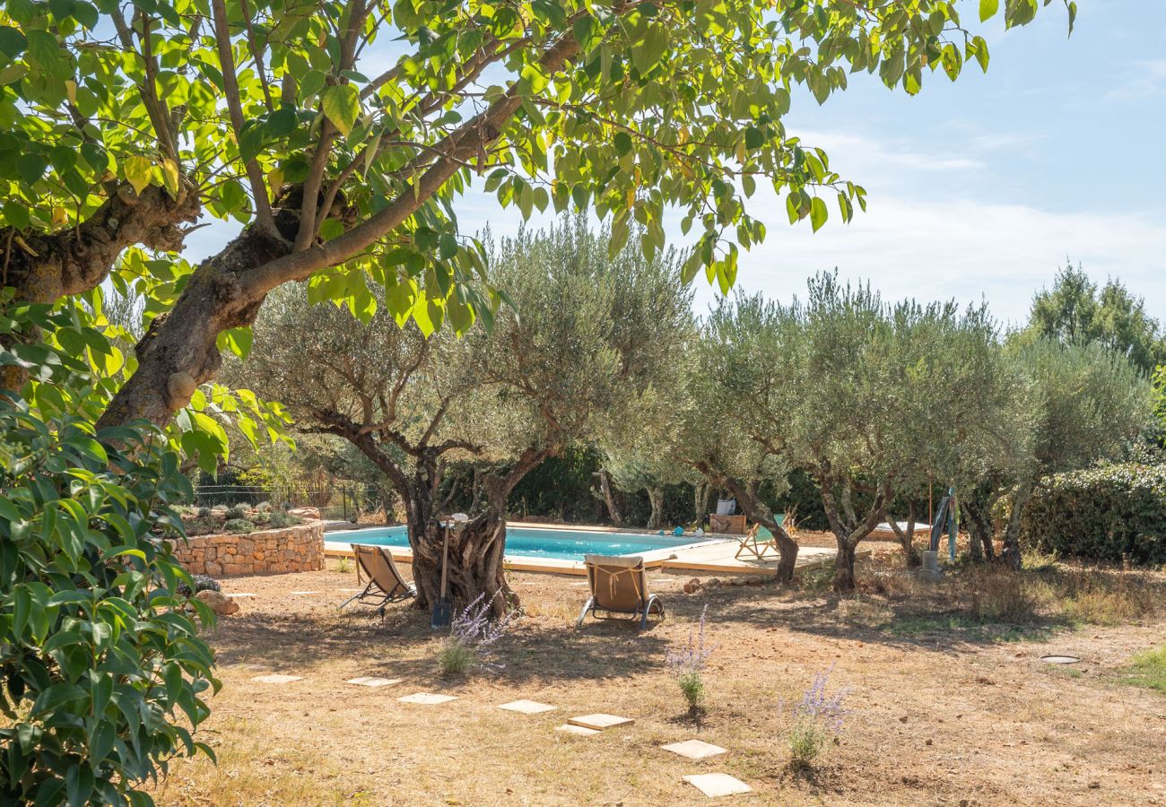 Villa in Lorgues - Villa Martine