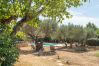 Villa in Lorgues - zz Villa Martine